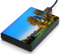 meSleep HD41187 Hard Disk Skin(Multicolor)   Laptop Accessories  (meSleep)