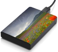 meSleep HD36067 Hard Disk Skin(Multicolor)   Laptop Accessories  (meSleep)