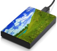 meSleep HD43258 Hard Disk Skin(Multicolor)   Laptop Accessories  (meSleep)