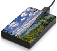 meSleep HD38350 Hard Disk Skin(Multicolor)   Laptop Accessories  (meSleep)
