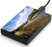 meSleep HD39011 Hard Disk Skin(Multicolor)   Laptop Accessories  (meSleep)