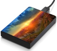 meSleep HD37142 Hard Disk Skin(Multicolor)   Laptop Accessories  (meSleep)