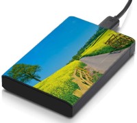meSleep HD33180 Hard Disk Skin(Multicolor)   Laptop Accessories  (meSleep)