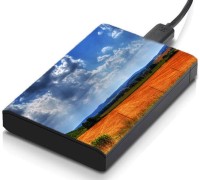meSleep HD33115 Hard Disk Skin(Multicolor)   Laptop Accessories  (meSleep)
