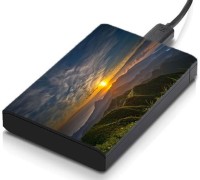 meSleep HD36100 Hard Disk Skin(Multicolor)   Laptop Accessories  (meSleep)