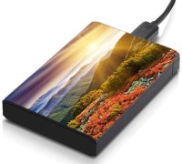 meSleep HD39212 Hard Disk Skin(Multicolor)   Laptop Accessories  (meSleep)