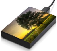 meSleep HD35150 Hard Disk Skin(Multicolor)   Laptop Accessories  (meSleep)