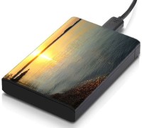 meSleep HD45337 Hard Disk Skin(Multicolor)   Laptop Accessories  (meSleep)