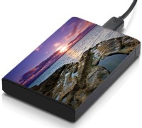 meSleep HD46265 Hard Disk Skin(Multicolor)   Laptop Accessories  (meSleep)