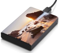 meSleep HD46121 Hard Disk Skin(Multicolor)   Laptop Accessories  (meSleep)