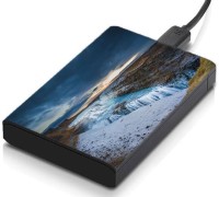 meSleep HD37089 Hard Disk Skin(Multicolor)   Laptop Accessories  (meSleep)