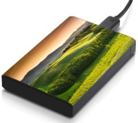 meSleep HD41151 Hard Disk Skin(Multicolor)   Laptop Accessories  (meSleep)