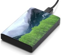 meSleep HD44267 Hard Disk Skin(Multicolor)   Laptop Accessories  (meSleep)