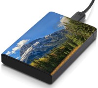 meSleep HD32164 Hard Disk Skin(Multicolor)   Laptop Accessories  (meSleep)