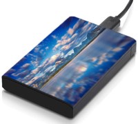 meSleep HD31213 Hard Disk Skin(Multicolor)   Laptop Accessories  (meSleep)