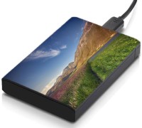 meSleep HD33070 Hard Disk Skin(Multicolor)   Laptop Accessories  (meSleep)