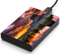 meSleep HD46227 Hard Disk Skin(Multicolor)   Laptop Accessories  (meSleep)