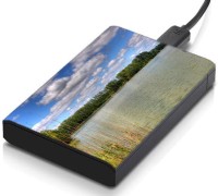 meSleep HD38395 Hard Disk Skin(Multicolor)   Laptop Accessories  (meSleep)