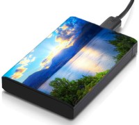 meSleep HD44077 Hard Disk Skin(Multicolor)   Laptop Accessories  (meSleep)