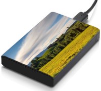meSleep HD36204 Hard Disk Skin(Multicolor)   Laptop Accessories  (meSleep)