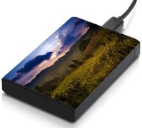 View meSleep HD37253 Hard Disk Skin(Multicolor) Laptop Accessories Price Online(meSleep)