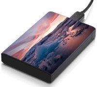 meSleep HD44180 Hard Disk Skin(Multicolor)   Laptop Accessories  (meSleep)