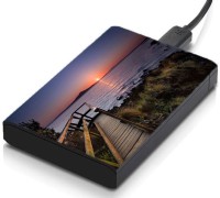 meSleep HD46201 Hard Disk Skin(Multicolor)   Laptop Accessories  (meSleep)