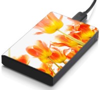 meSleep HD35036 Hard Disk Skin(Multicolor)   Laptop Accessories  (meSleep)
