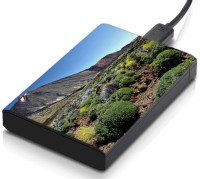 meSleep HD30160 Hard Disk Skin(Multicolor)   Laptop Accessories  (meSleep)