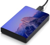 meSleep HD38239 Hard Disk Skin(Multicolor)   Laptop Accessories  (meSleep)
