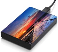 meSleep HD45173 Hard Disk Skin(Multicolor)   Laptop Accessories  (meSleep)
