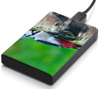 meSleep HD33383 Hard Disk Skin(Multicolor)   Laptop Accessories  (meSleep)