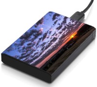 meSleep HD30282 Hard Disk Skin(Multicolor)   Laptop Accessories  (meSleep)