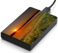 meSleep HD29072 Hard Disk Skin(Multicolor)   Laptop Accessories  (meSleep)