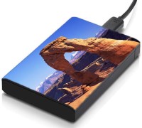 meSleep HD45308 Hard Disk Skin(Multicolor)   Laptop Accessories  (meSleep)