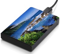 meSleep HD30224 Hard Disk Skin(Multicolor)   Laptop Accessories  (meSleep)