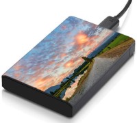 meSleep HD38064 Hard Disk Skin(Multicolor)   Laptop Accessories  (meSleep)