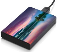 meSleep HD36069 Hard Disk Skin(Multicolor)   Laptop Accessories  (meSleep)