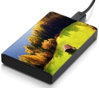 meSleep HD24040 Hard Disk Skin(Multicolor)   Laptop Accessories  (meSleep)