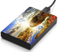 meSleep HD33096 Hard Disk Skin(Multicolor)   Laptop Accessories  (meSleep)