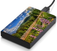 meSleep HD34149 Hard Disk Skin(Multicolor)   Laptop Accessories  (meSleep)