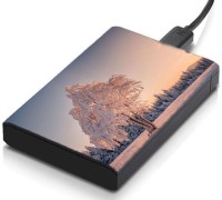 meSleep HD41010 Hard Disk Skin(Multicolor)   Laptop Accessories  (meSleep)