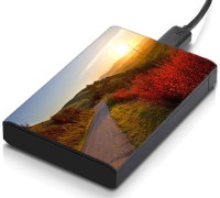 meSleep HD29202 Hard Disk Skin(Multicolor)   Laptop Accessories  (meSleep)