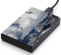 meSleep HD42267 Hard Disk Skin(Multicolor)   Laptop Accessories  (meSleep)