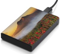 meSleep HD29235 Hard Disk Skin(Multicolor)   Laptop Accessories  (meSleep)
