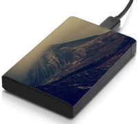 meSleep HD1724 Hard Disk Skin(Multicolor)   Laptop Accessories  (meSleep)