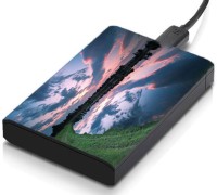 meSleep HD45377 Hard Disk Skin(Multicolor)   Laptop Accessories  (meSleep)