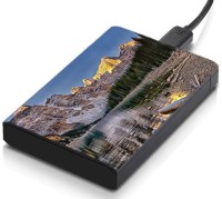 meSleep HD32296 Hard Disk Skin(Multicolor)   Laptop Accessories  (meSleep)