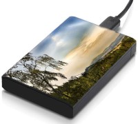 meSleep HD38030 Hard Disk Skin(Multicolor)   Laptop Accessories  (meSleep)