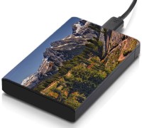 meSleep HD29077 Hard Disk Skin(Multicolor)   Laptop Accessories  (meSleep)